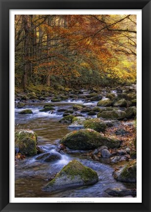 Framed Autumn on Little River Print