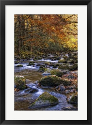 Framed Autumn on Little River Print