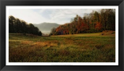 Framed Warm Morning Light Print