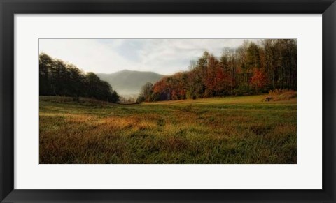 Framed Warm Morning Light Print