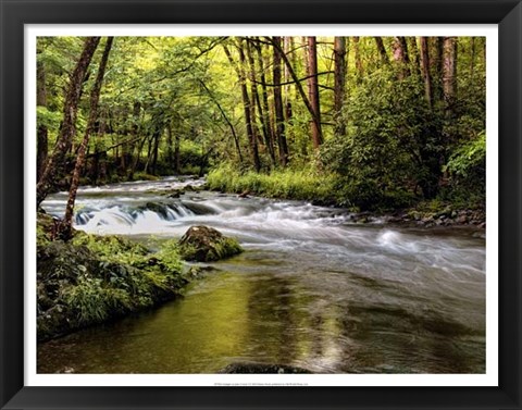 Framed Sunlight on Jake&#39;s Creek I Print