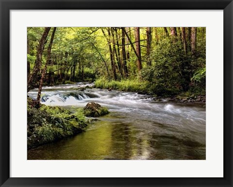 Framed Sunlight on Jake&#39;s Creek I Print