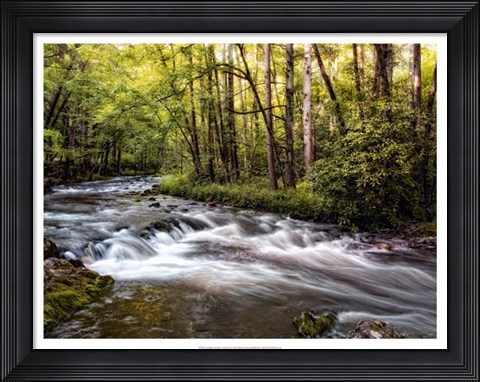 Framed Sunlight on Jake&#39;s Creek II Print