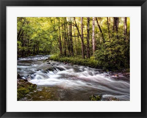 Framed Sunlight on Jake&#39;s Creek II Print