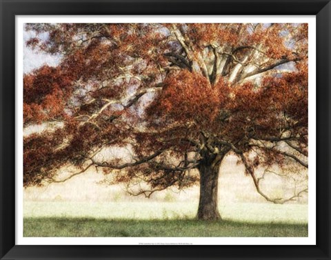 Framed Sunbathed Oak I Print