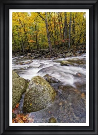 Framed Roaring Waters I Print