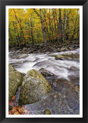 Framed Roaring Waters I Print