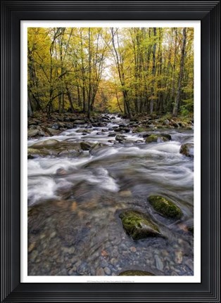 Framed Roaring Waters II Print