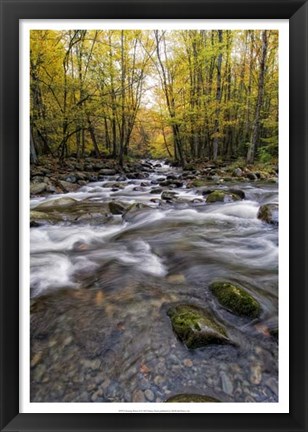 Framed Roaring Waters II Print