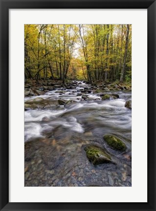 Framed Roaring Waters II Print