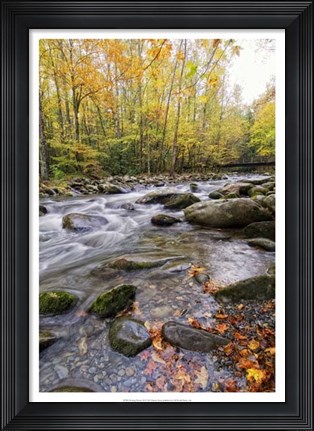 Framed Roaring Waters III Print