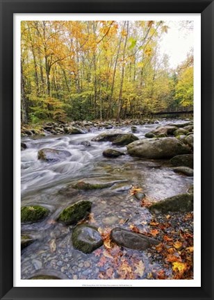 Framed Roaring Waters III Print