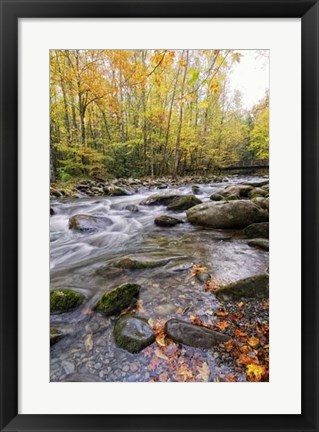 Framed Roaring Waters III Print