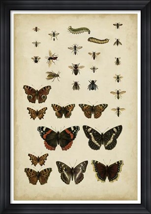 Framed Garden Friends Print