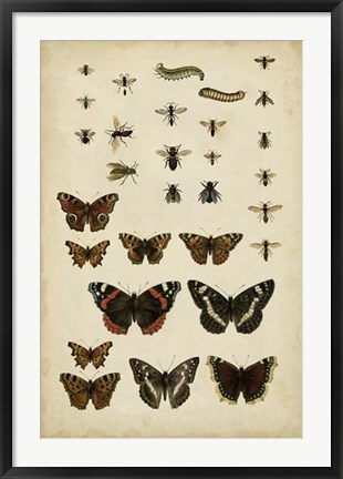 Framed Garden Friends Print
