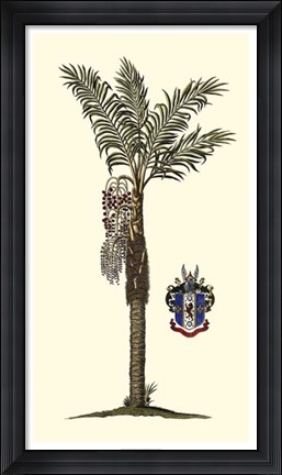 Framed Elongated Exotic Palm I Print
