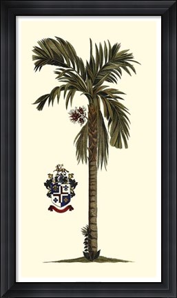 Framed Elongated Exotic Palm II Print