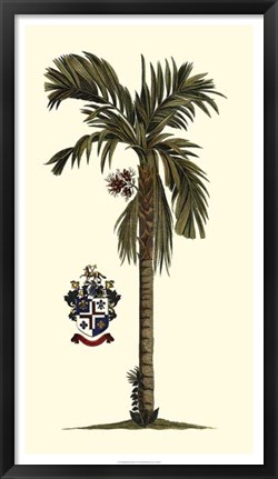 Framed Elongated Exotic Palm II Print