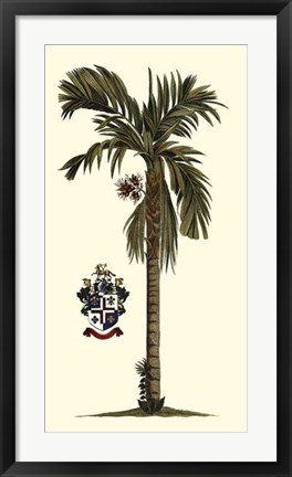 Framed Elongated Exotic Palm II Print