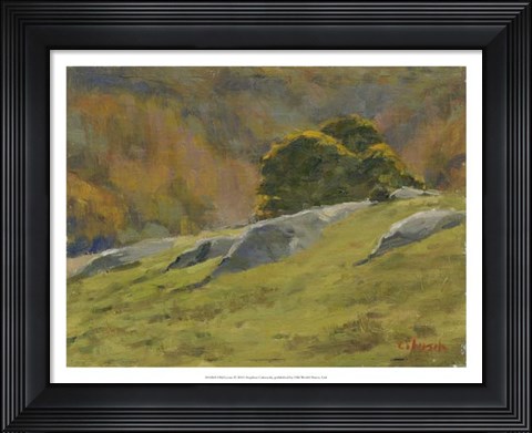 Framed Old Lyme Print