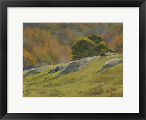 Framed Old Lyme Print