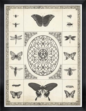 Framed Nature&#39;s Memento I Print