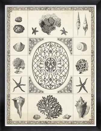 Framed Nature&#39;s Memento II Print