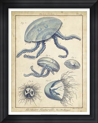 Framed Medusa II Print