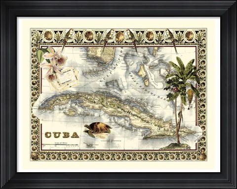 Framed Tropical Map of Cuba Print