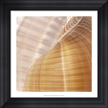 Framed Organic Elements III Print