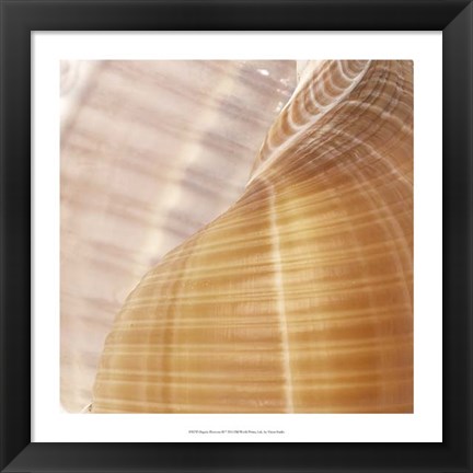 Framed Organic Elements III Print