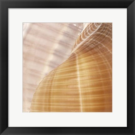 Framed Organic Elements III Print