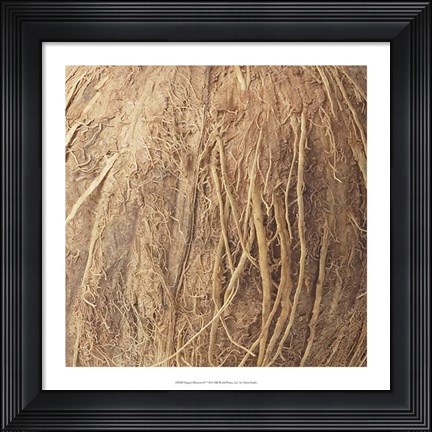 Framed Organic Elements IV Print