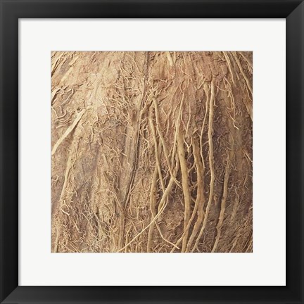 Framed Organic Elements IV Print