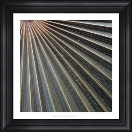 Framed Organic Elements VI Print