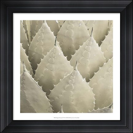 Framed Organic Elements VII Print