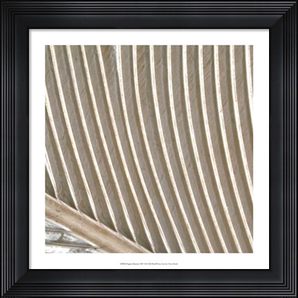 Framed Organic Elements VIII Print