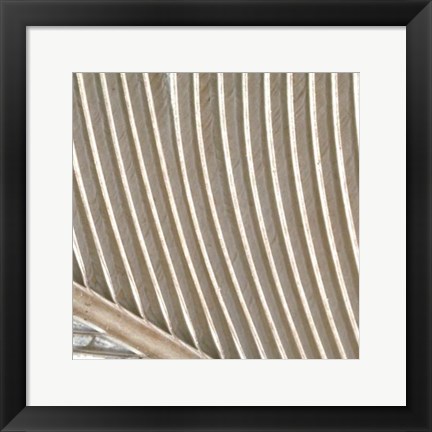 Framed Organic Elements VIII Print