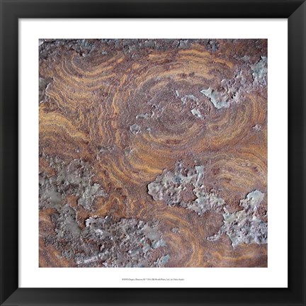 Framed Organic Elements IX Print