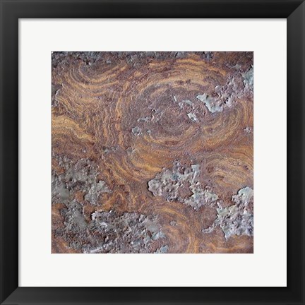 Framed Organic Elements IX Print
