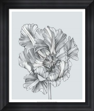 Framed Silvery Blue Tulips I Print