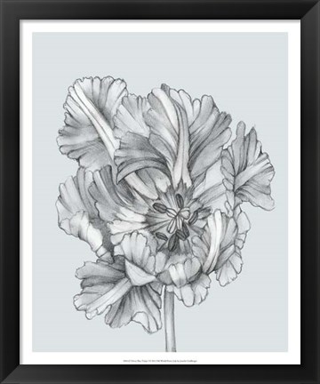 Framed Silvery Blue Tulips I Print