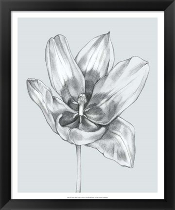 Framed Silvery Blue Tulips II Print