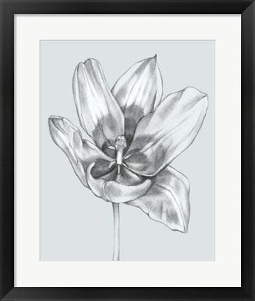 Framed Silvery Blue Tulips II Print