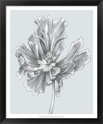 Framed Silvery Blue Tulips III Print