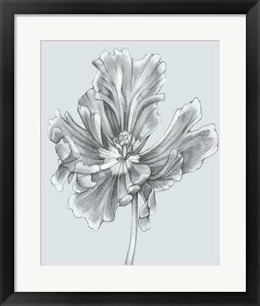 Framed Silvery Blue Tulips III Print