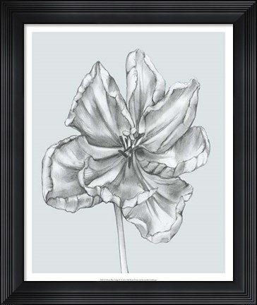 Framed Silvery Blue Tulips IV Print