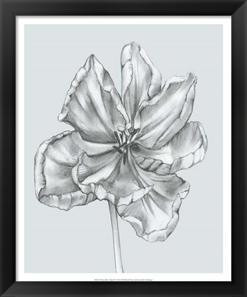 Framed Silvery Blue Tulips IV Print