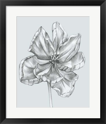Framed Silvery Blue Tulips IV Print