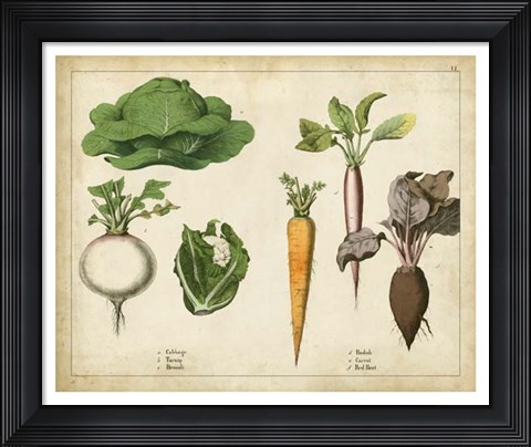 Framed Kitchen Vegetables &amp; Roots I Print